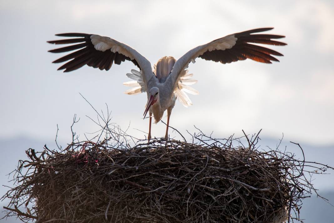 Konya'nın huzur dolu ilçesinin büyüsü kadrajlara sığmadı 10